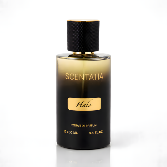 Our Creation Of LV "Imagination"